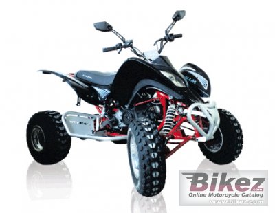 2011 WT Motors Kaos WT250 photo